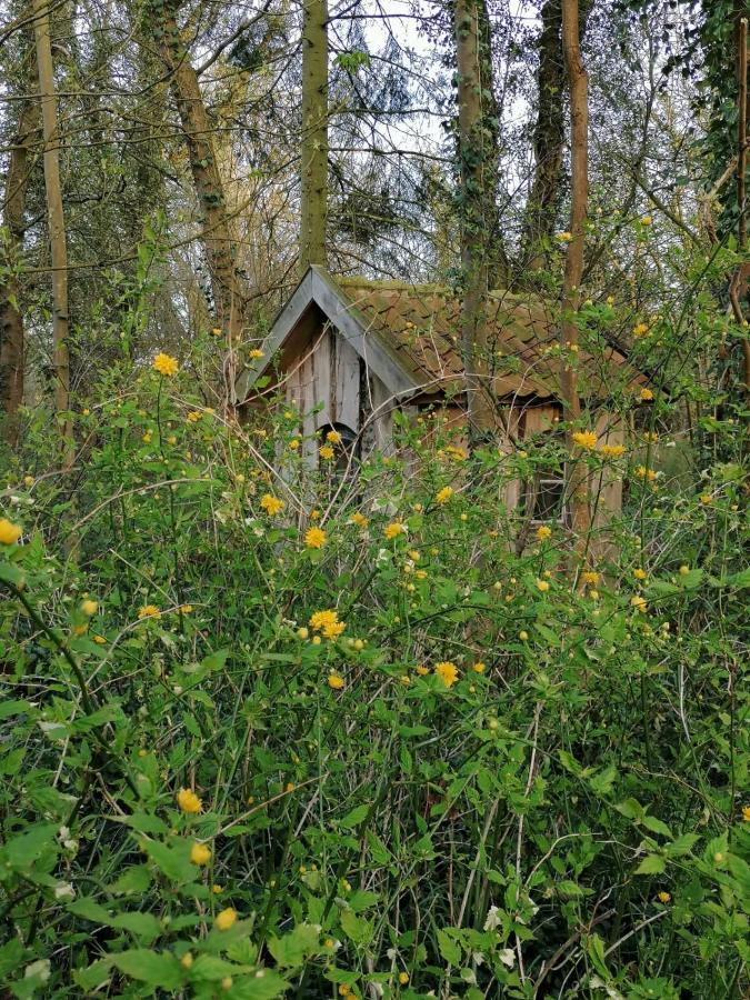 Ferienwohnung Ehemalige Revierfoersterei "Uns Luett" Kuhstorf Экстерьер фото